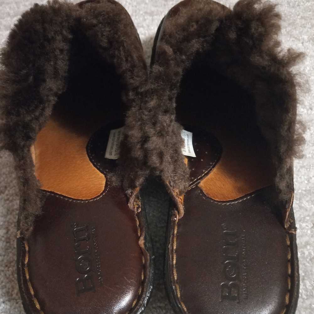 Born mules - Picture 3 of 5